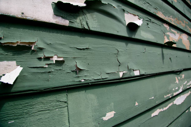 Best Same-Day Junk Removal Services  in Statham, GA